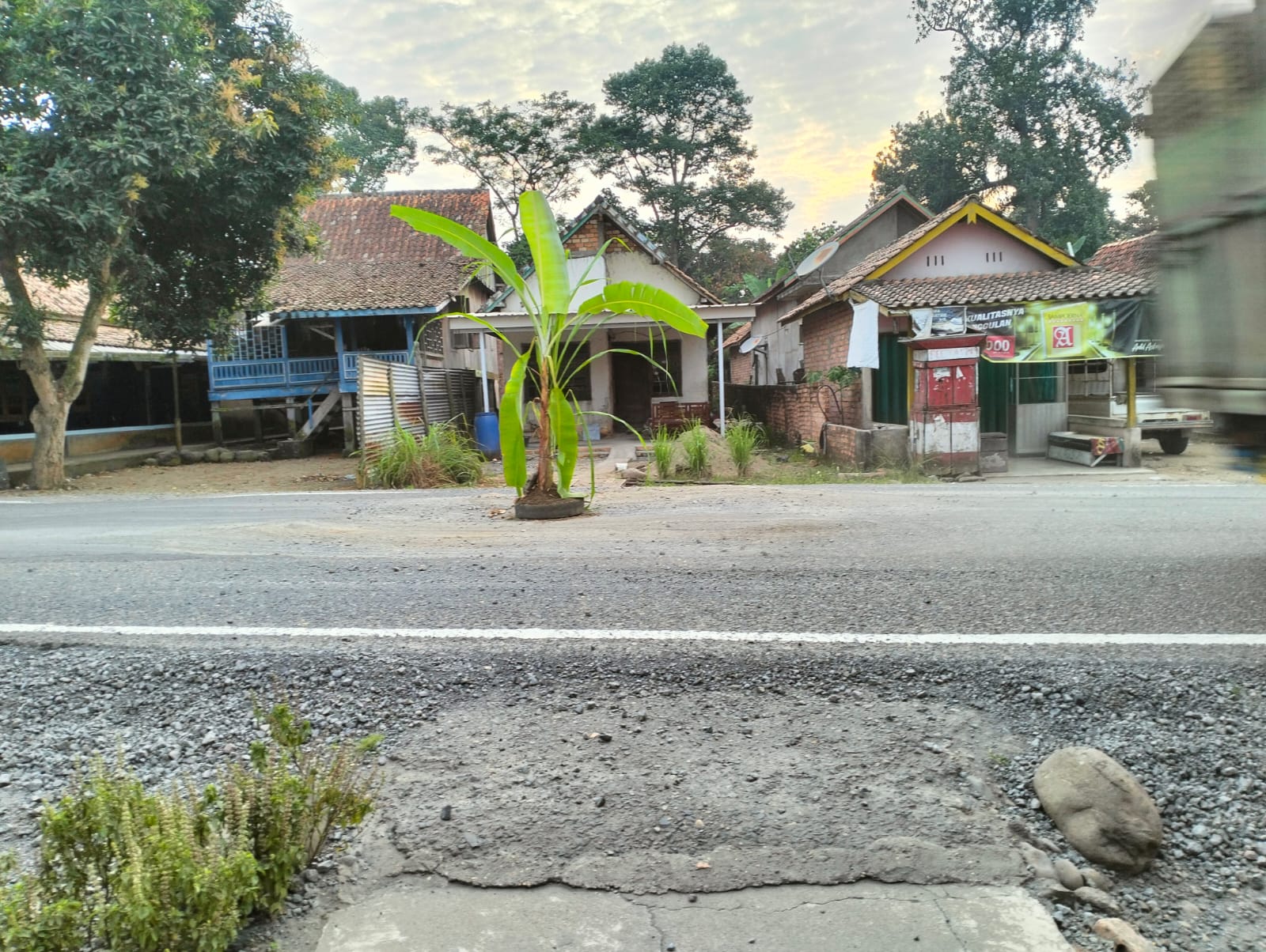 Warga Desa Sereka Tanam Pohon Pisang di Jalinteng, Protes Debu Jalan Ganggu Kesehatan