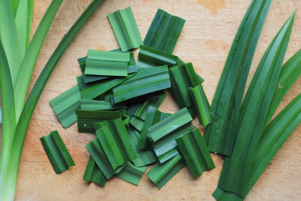 Lebih dari Sekedar Pewarna dan Pemberi Aroma Makanan, Ini Dia Manfaat Daun Pandan yang Jarang Diketahui