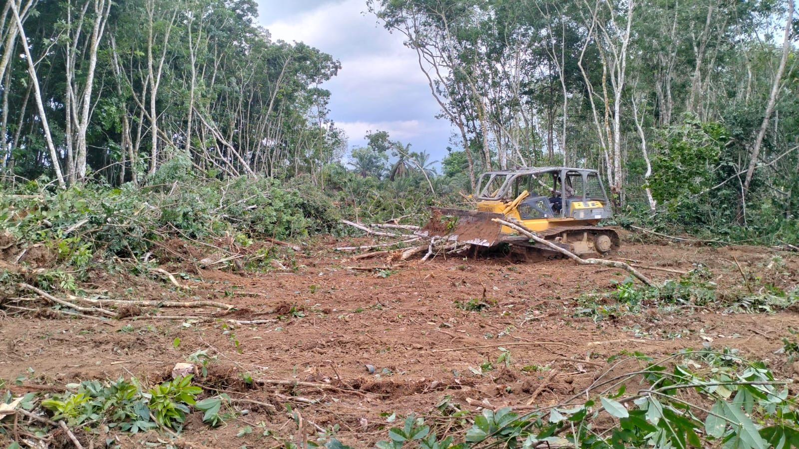 Pembangunan Tol Trans Sumatera di Desa Bukit Jaya Kecamatan Sungai Lilin Mulai Digarap