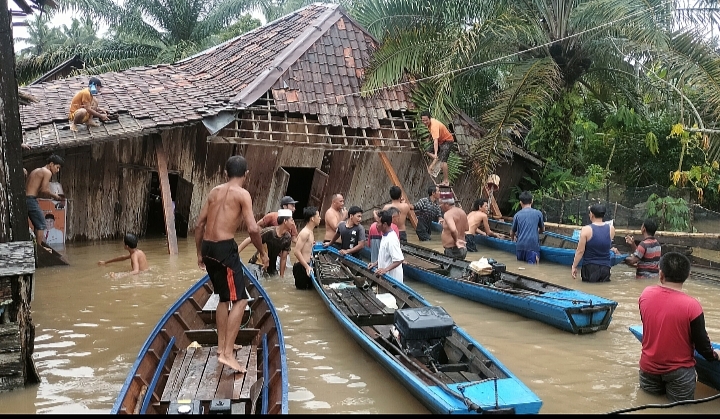 BREAKING NEWS! Satu Rumah Warga di Desa Ngulak III Roboh Akibat Banjir