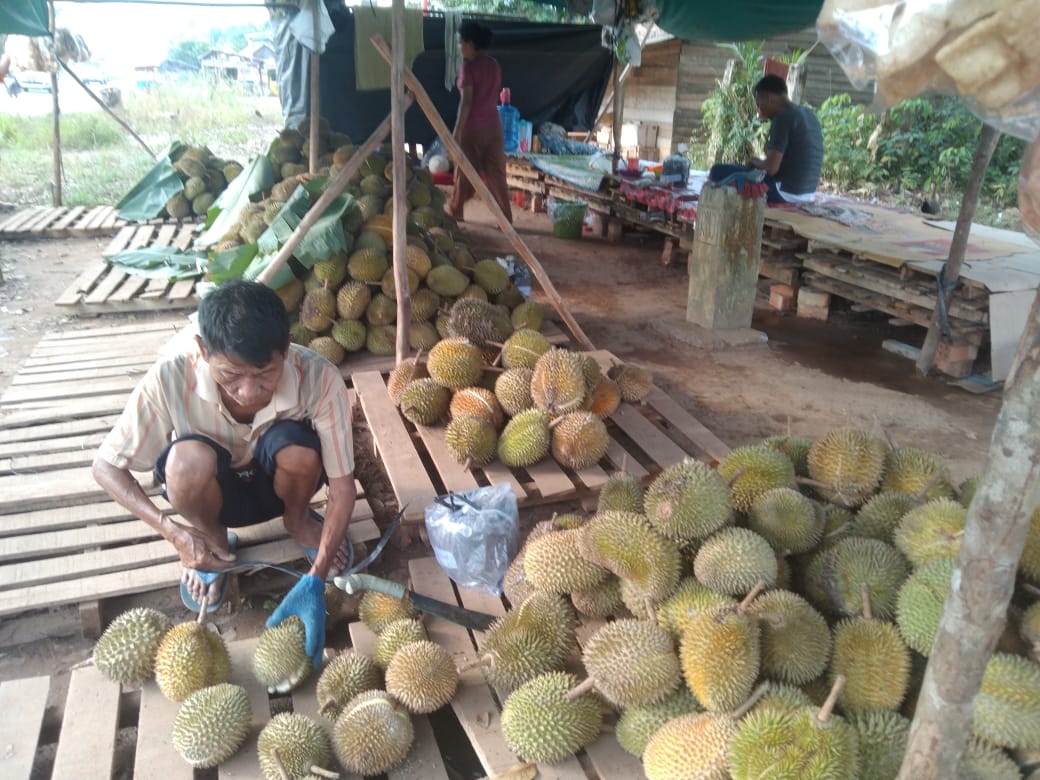 Lapak Durian Nyebar di Jalintim, Harga Bervariasi