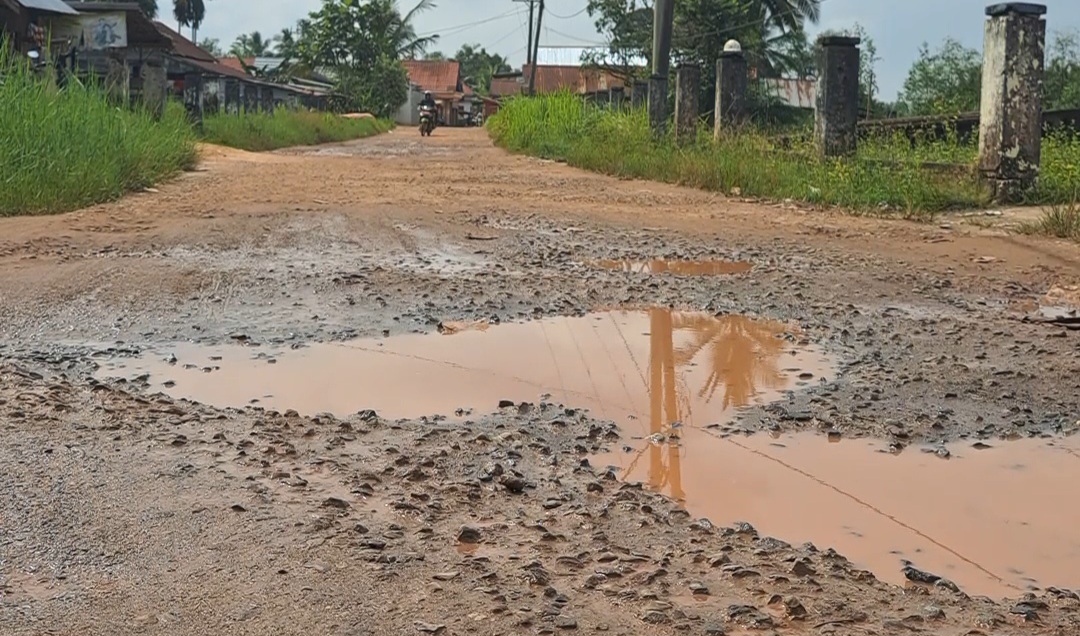 Kampung Tertua di Sungai Lilin Ini Jalannya Butuh Perhatian