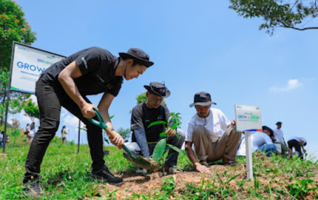 Pulihkan Hutan Bekas Tambang, Aksi Nyata Kelompok Tani Selamatkan Lingkungan Bersama BRI Menanam-Grow & Green