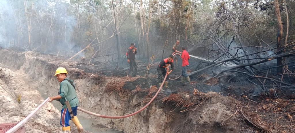 Dianggap Kirim Asap ke Kota Sekayu, Begini Tanggapan PT IAM 