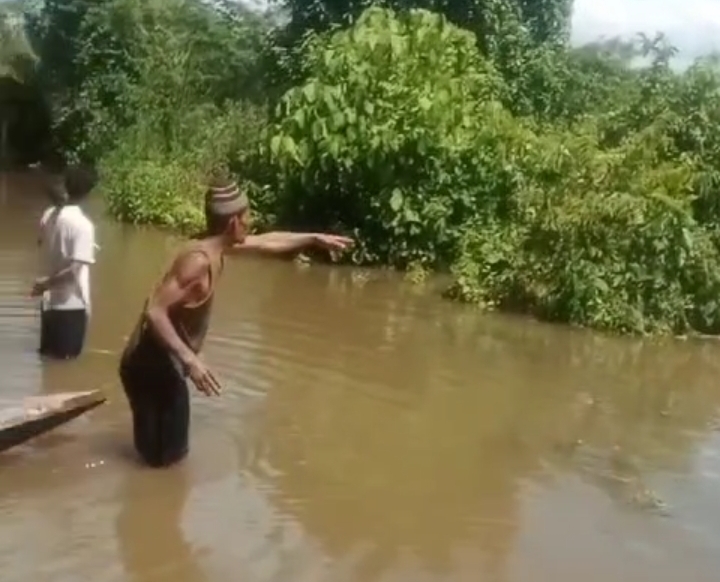 Viral! Video Kesaksian Warga Lihat Penampakan Buaya 4 Meter Saat Banjir di Ulak Paceh Jaya