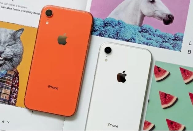 Memiliki Kemampuan Fotografi yang Memuaskan, Harga HP iPhone XR di iBoxTurun Drastis