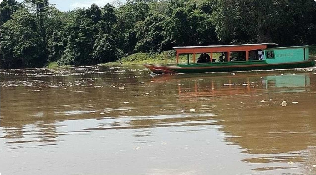 Curah Hujan Tinggi, Air Sungai Musi Kembali Pasang