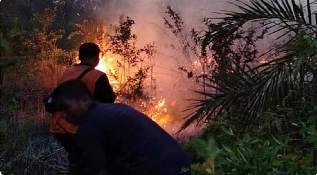 Sekitar 10 Hektar Lahan Perusahaan di Kecamatan Lawang Wetan Muba Terbakar