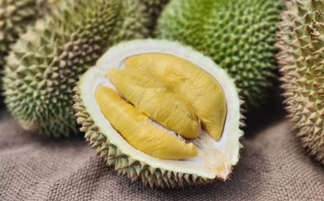 Bukan Sanga Desa, Ternyata Kecamatan Ini Paling Banyak Penghasil Buah Durian di Muba Tahun 2023