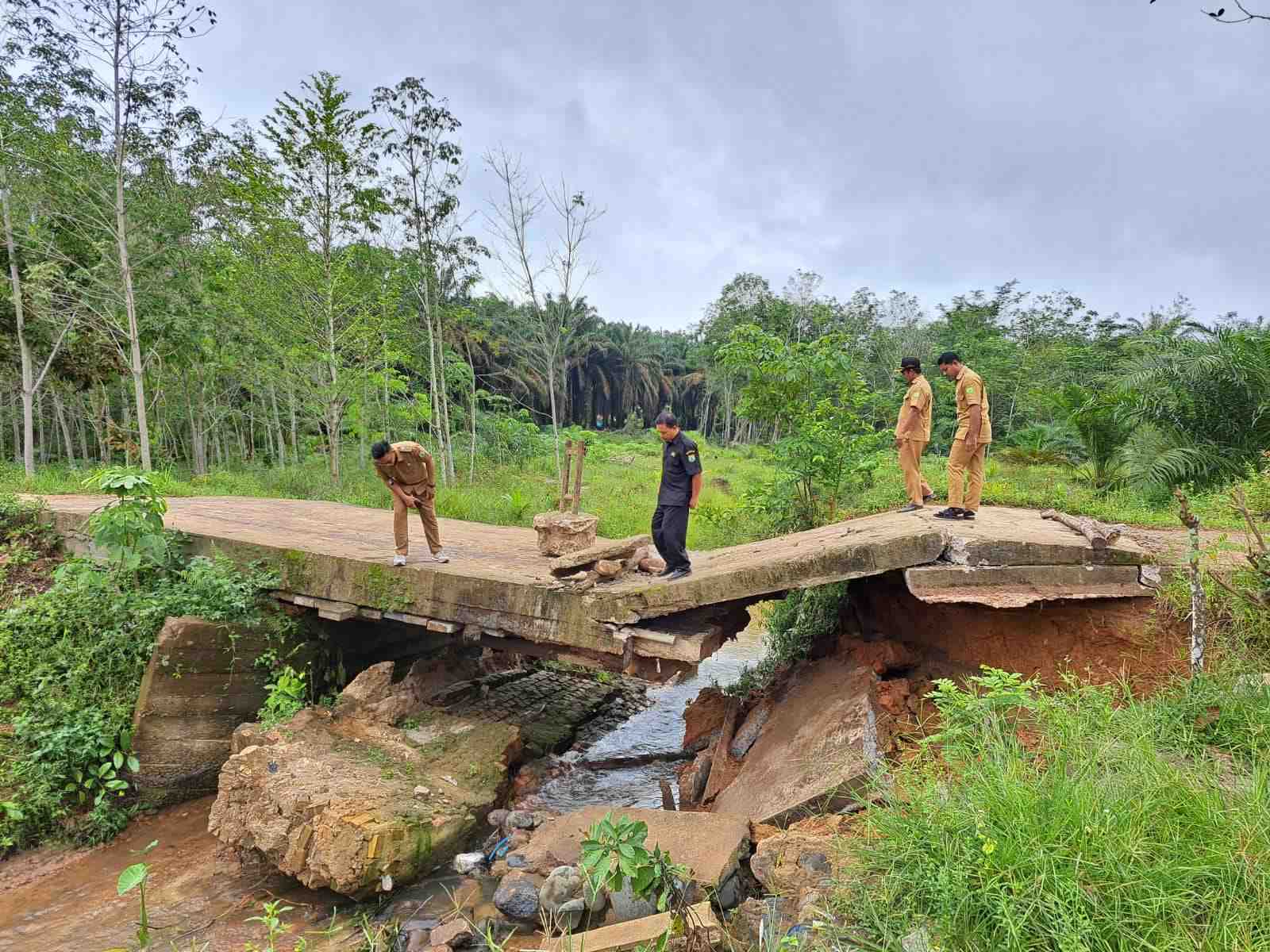Jembatan di Jalan Poros Desa Mulyo Rejo Patah, Butuh Tanggap Darurat