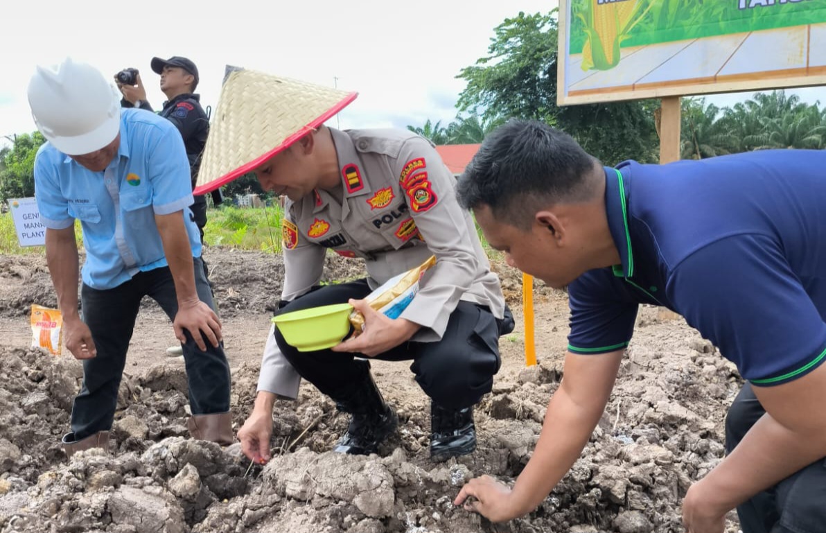 PT BKI dan Forkopimcam Lalan Tanam Jagung di Lahan 5 Hektare, Dukung Program Ketahanan Pangan Nasional
