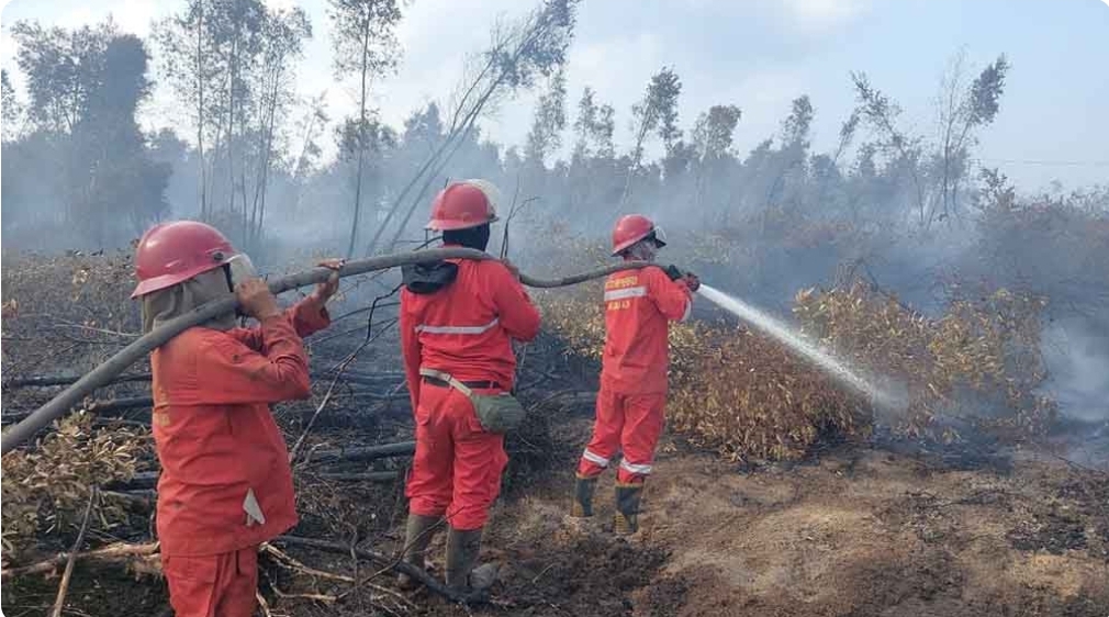 Karhutlah di OKI Meningkat, Terpantau 48 Titik Fire Spot