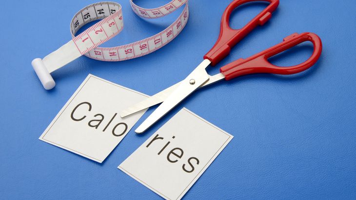 Bernarkah Pembatasan Asupan Kalori Bisa Perpanjang Umur? Ini Jawabannya Menurut Penelitian 
