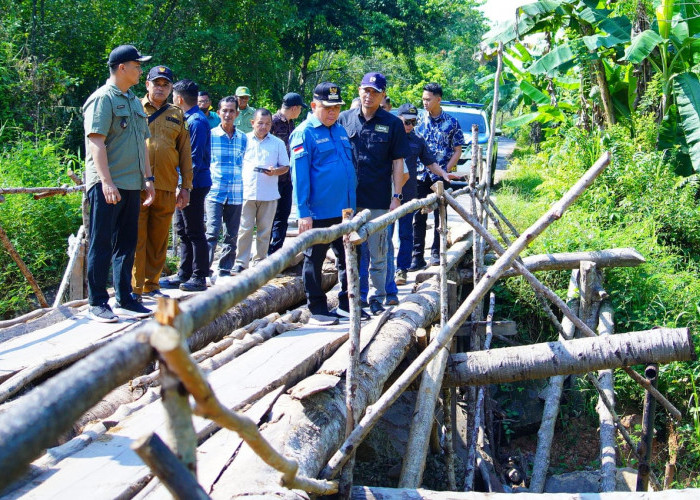 Pj Bupati Muba H Sandi Fahlepi Tinjau Kondisi Jembatan Rusak Desa Danau Cala, Akan Segera Diperbaiki 
