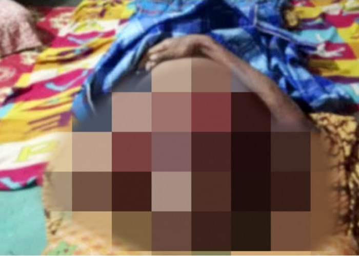 Warga Musi Rawas Hentikan Aktivitas Kebun Usai Pria Tewas Diduga Diterkam Harimau 