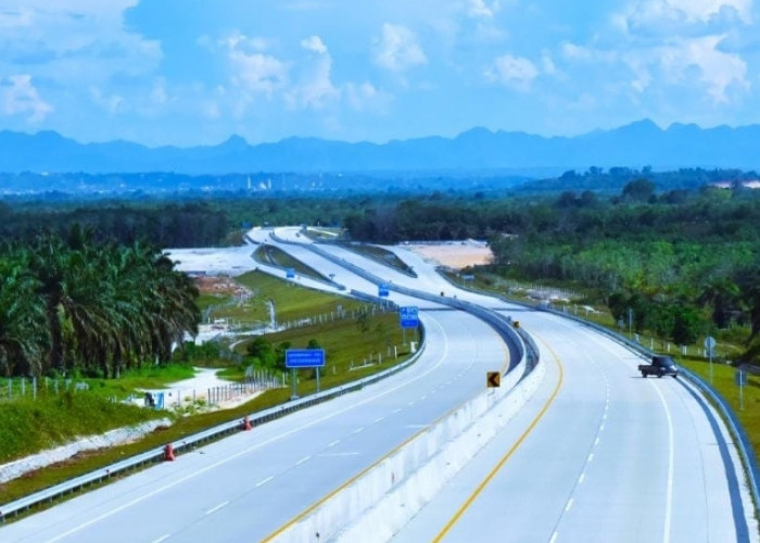 2 Ruas tol Trans Sumatera Ini Disiapkan Jalur Khusus Satwa, Ini Tujuan nya 
