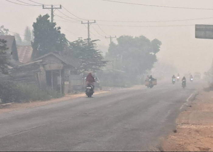 Kabut Asap Kembali Selimuti Jalintim Sungai Lilin, Jarak Pandang Pengendara Terbatas