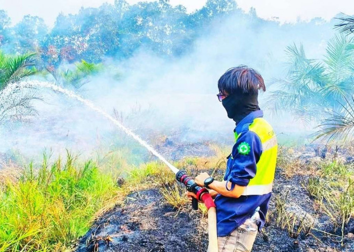 Tim Gabungan dan Perusahaan Bahu-Membahu Jinakkan Karhutla di Sungai Lilin Jaya  ​