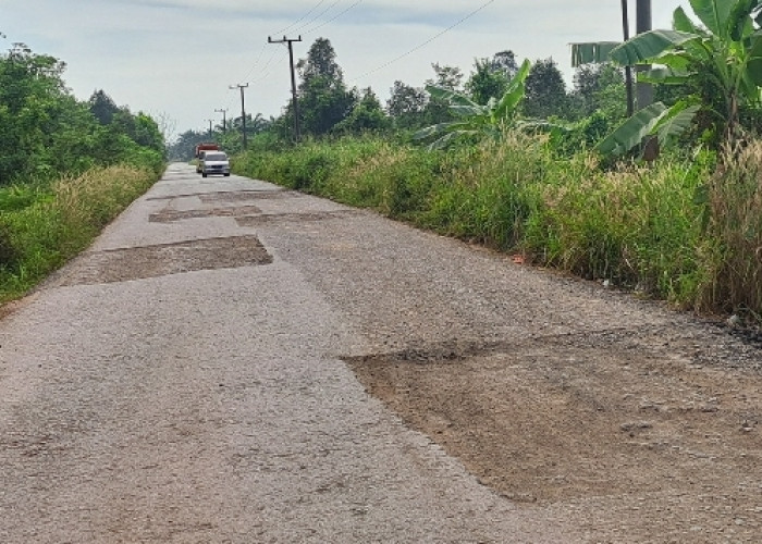 Tak Kunjung Ditutup, Tambal Sulam di Jalan Sungai Lilin - Keluang Dikeluhkan Pengguna Jalan