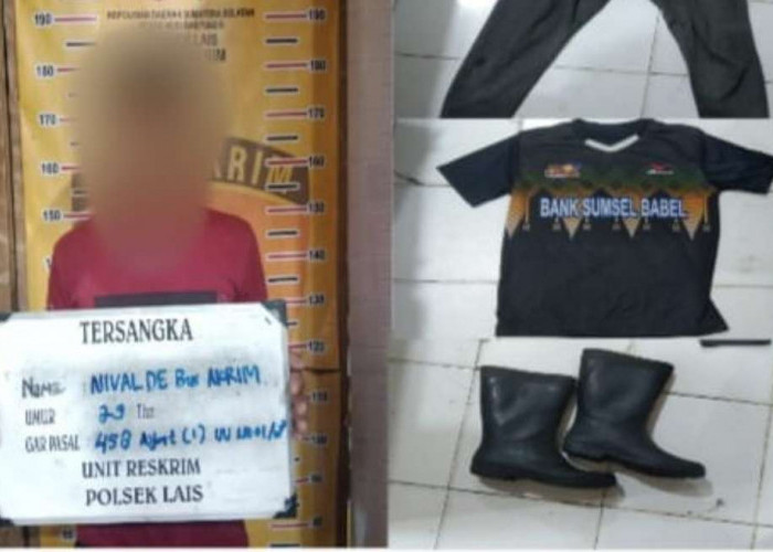 Pembunuhan di Kebun Sawit Lais Terungkap, Pelaku Menyerahkan Diri ke Polisi