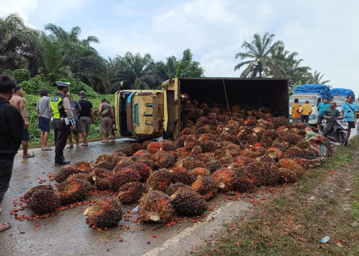 Truk Bawa Sawit Terbalik, Jalintim Kembali Macet