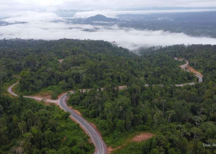 Ruas Jalan Trans Papua Ini Selesai Pembangunan, Akses Konektivitas di Papua Barat Makin Terbuka
