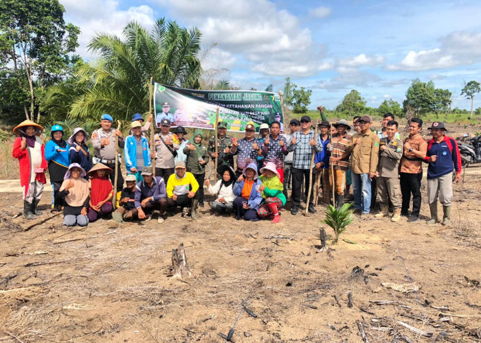 Program Ketahanan Pangan, Pemdes Jud I Laksanakan Penanaman Jagung