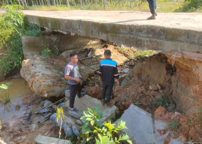 3 Unit Jembatan di Desa Mulyo Rejo Menghawatirkan, Batasi Kendaraan Yang Melintas