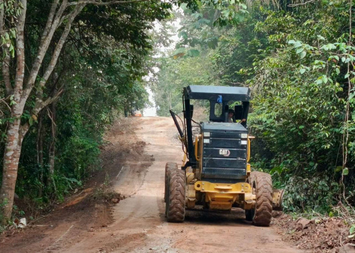 Bupati Muba Perintahkan Perbaikan Jalan Simpang Sari–Ulak Paceh