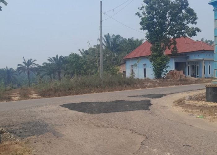 KUD Mukti Jaya B4 Tambal Jalan Rusak di Desa Mulyo Rejo, Dukung Kelancaran Aktivitas Warga