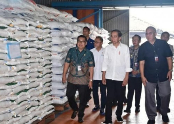 Presiden Jokowi Blak-Blakan Ungkap Biang Kerok Kenaikan Harga Beras 