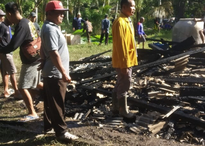 Di Lalan, Kebakaran Hebat,  Satu Warga  Tewas 