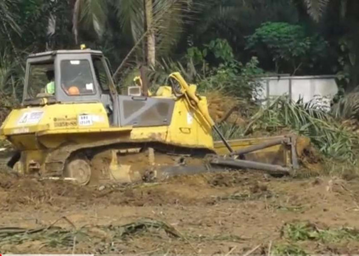 Jalan Tol Betung Jambi Mulai Dikerjakan, Alat Berat Sudah Bersihkan Lahan di wilayah Muaro Jambi