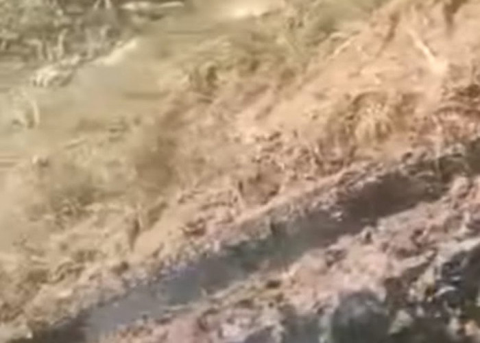 Pipa Bocor, Minyak Mentah dari Pipa Pertamina Meluber ke Jalan Desa Jirak Jaya  