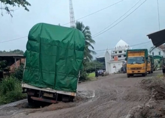 Truk Fuso Tersangkut di Jalinteng Muba, Arus Kendaraan Macet Panjang