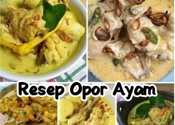 Lebaran Sudah Dekat, Yuk Bikin Opor Ayam, Berikut Resepnya, Mudah Lho