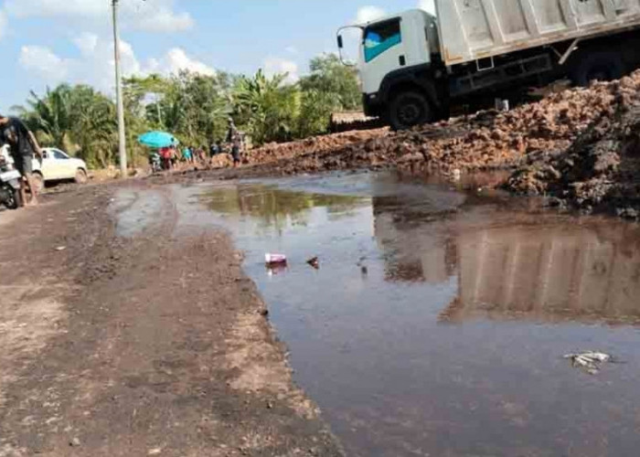 Diduga Limbah Tambang Batubara Cemari Jalan dan Kebun, Petani di Kecamatan Lais Mengeluh
