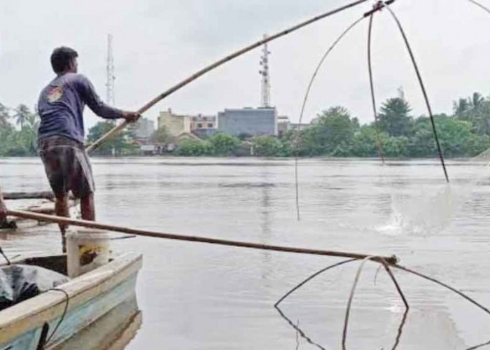 Sisi Lain Banjir di Muba, Warga Ramai Nangkul Ikan Mudik