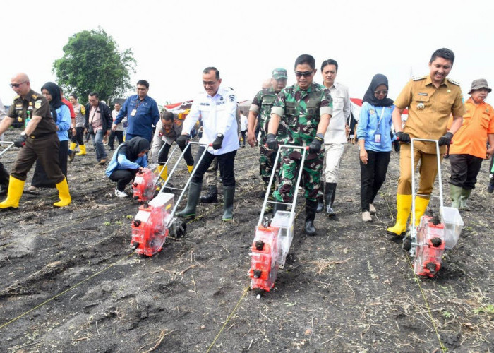 Dukung Program Pemerintah Swasembada Pangan, Sekda Edward Candra Bersama Kapolda Tanam Jagung Serentak