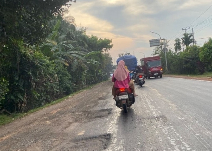 Menjelang Mudik 2026, Jalan Lintas Timur Palembang–Betung Kian Rusak, Warga Desak Perbaikan Total