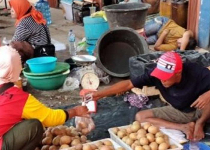 Peminat Buah Sawo di Sanga Desa Cukup Tinggi, Pedagang Buah Laris Manis