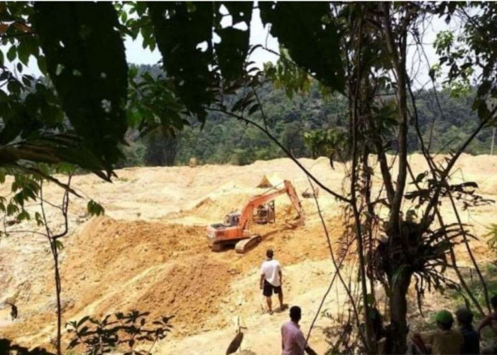 Pekerja Tambang Emas Ilegall di Jambi Meninggal Tertimbun, Korban Berasal Dari Muratara