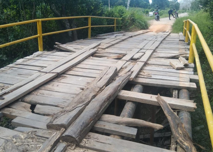 Mengerikan, Begini Kondisi Jembatan Penghubung Desa Pinggap - Pengaturan,  Akses Utama Pelajar ke Sekolah 