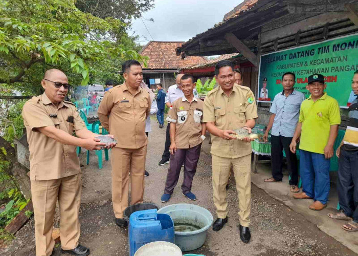 Kelompok Ternak Sejahtera Ulak Paceh, Harapkan Mesin Pembuat Pelet