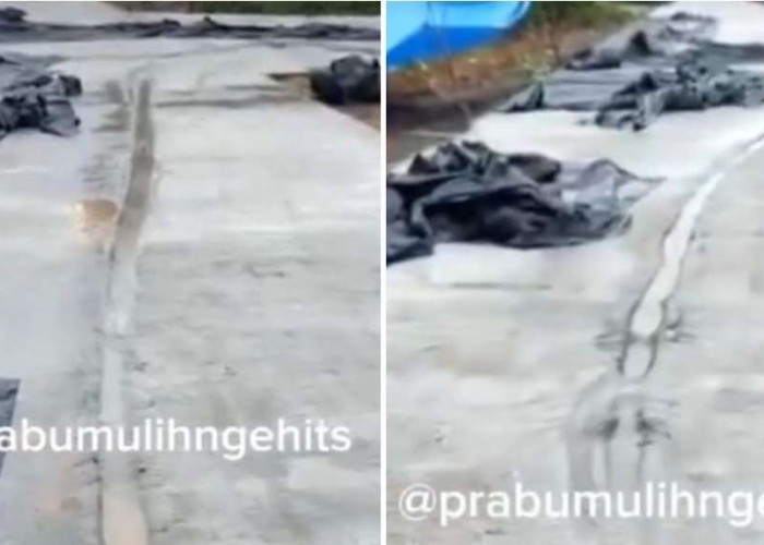 Jalan di Prabumulih Viral, Belum Kering Dicor Sudah Dilintasi Sepeda Motor