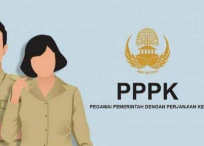 Buruan Daftar, Terakhir 6 Januari Besok, Beberapa Kanwil Kemenag Sepi Peminat PPPK 2023. Ini Daerahnya, Salah 