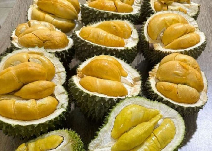 Viral, Pria di Banyumas Meninggal, Usai Habiskan 5 Buah Durian