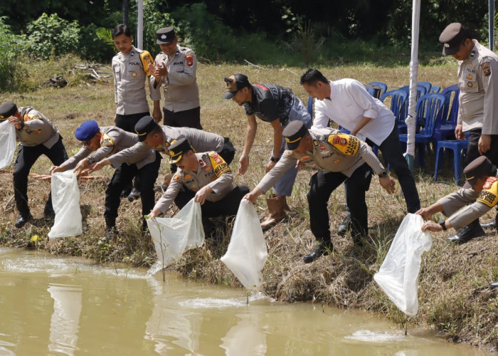 Polres Muba Tebar Indukan Ikan dan Tanam Ubi, Dukung Program Asta Citra Presiden RI