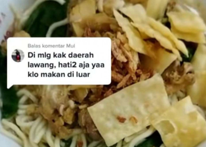 Curhat Warga Temukan Belatung di Mie Ayam, Videonya Viral di Medos