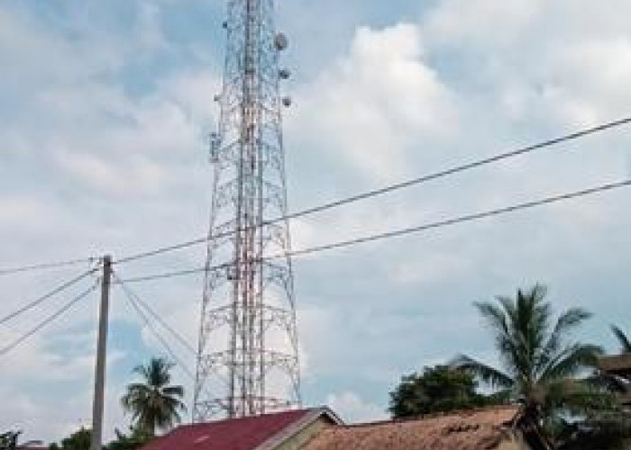 Warga Kecamatan Sanga Desa Keluhkan Jaringan Internet, Kerap Hilang Sinyal
